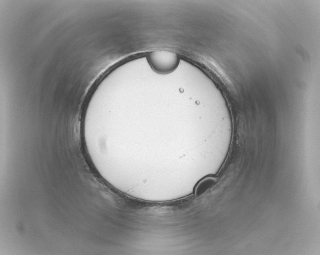 X0000115261268200911271918