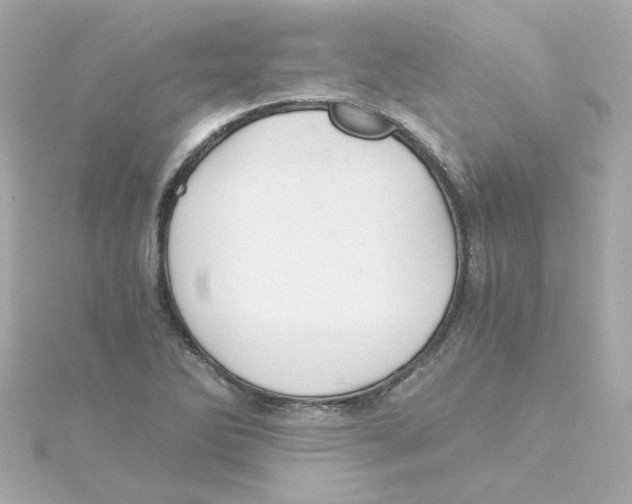 X0000115261270200911271918