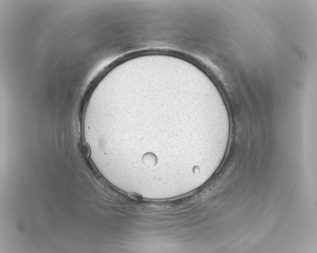 X0000115261271200911271918