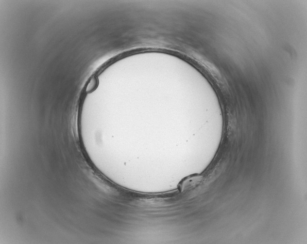 X0000115261272200911271918