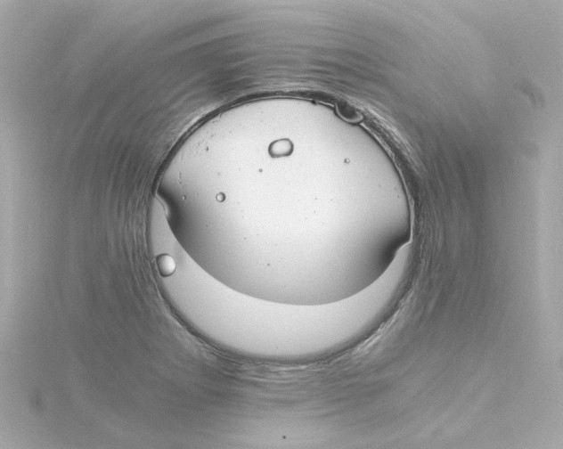 X0000115261273200911271918