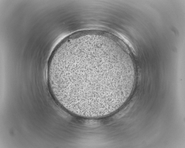 X0000115261275200911271918