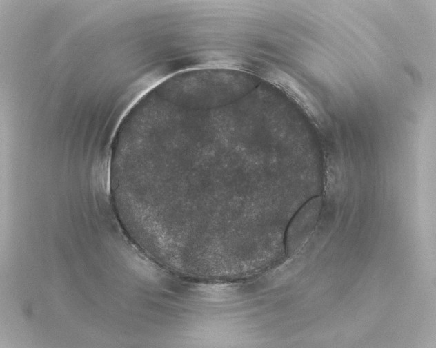 X0000115261276200911271918