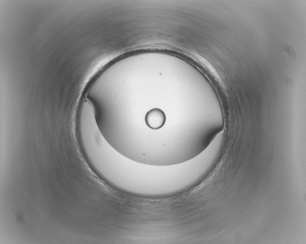 X0000115261277200911271918