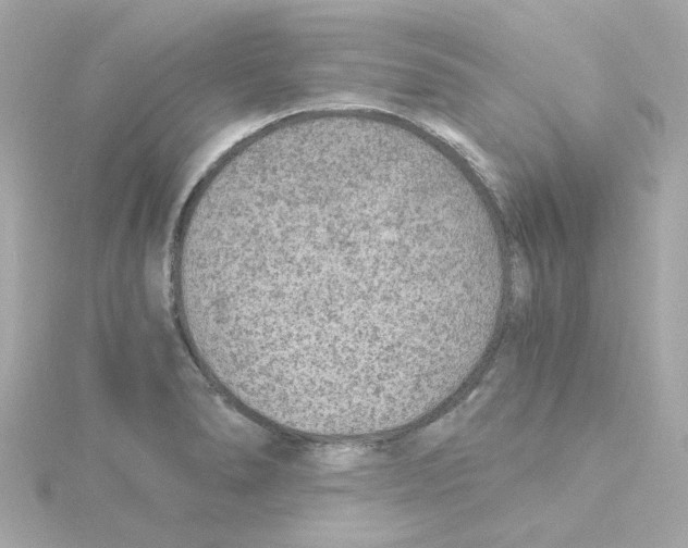 X0000115261278200911271918