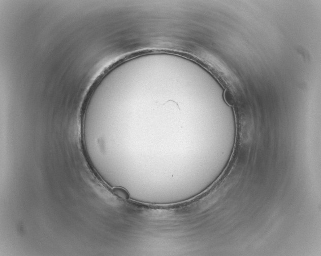 X0000115261280200911271918