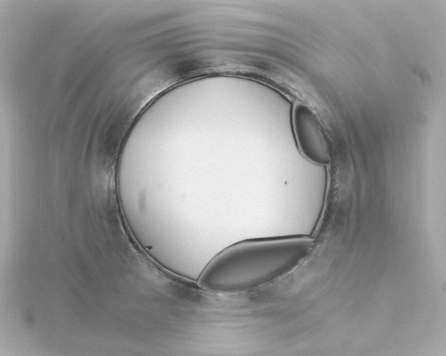 X0000115261281200911271918