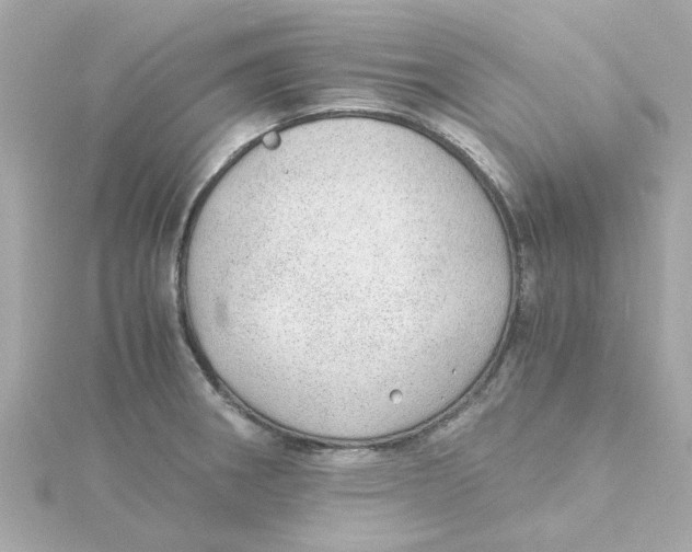 X0000115261282200911271918