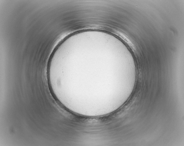 X0000115261283200911271918