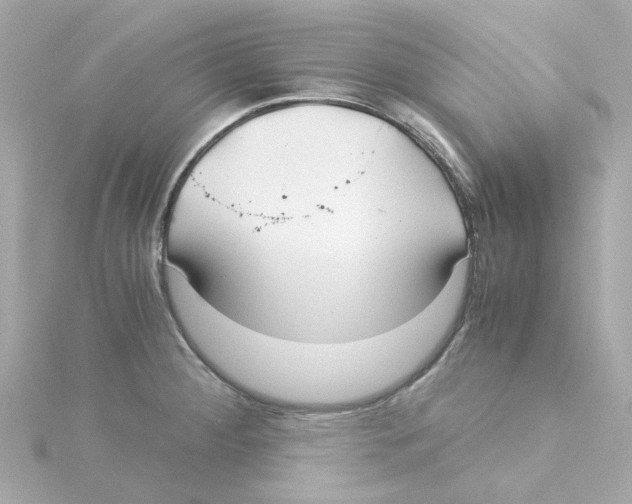 X0000115261284200911271918