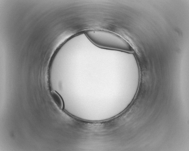 X0000115261285200911271918