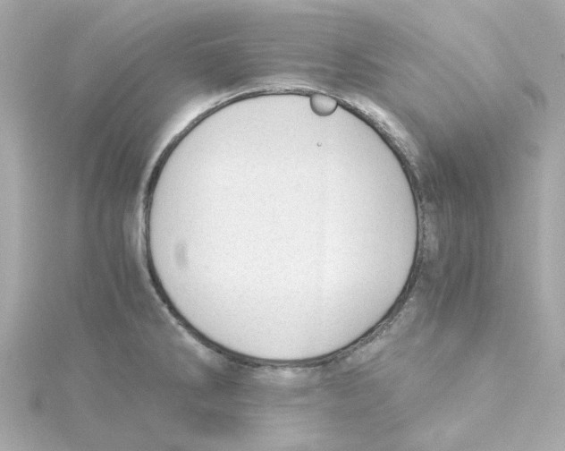 X0000115261286200911271918