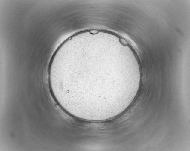 X0000115261287200911271918