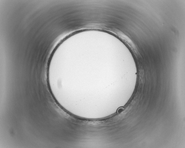 X0000115261288200911271918