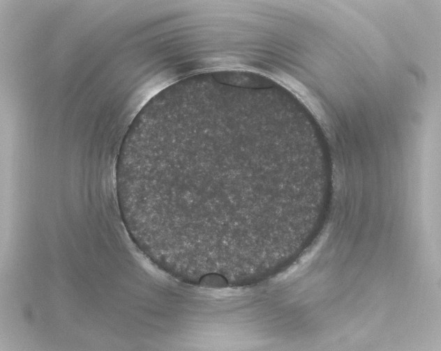 X0000115261289200911271918