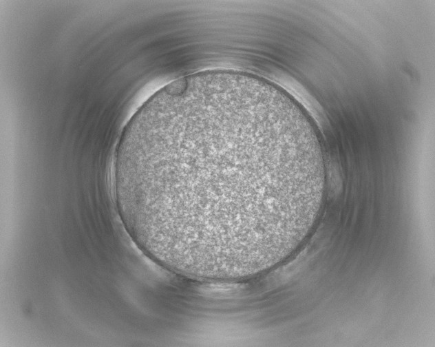 X0000115261290200911271918