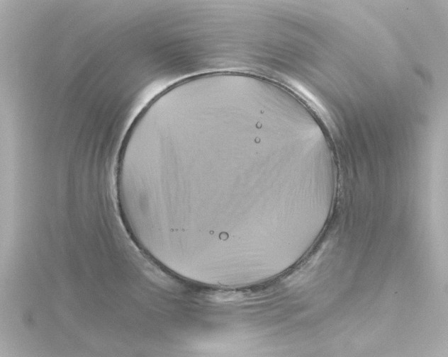 X0000115261291200911271918