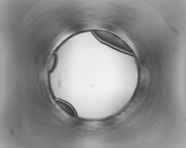 X0000115261293200911271918