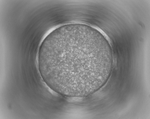 X0000115261294200911271918