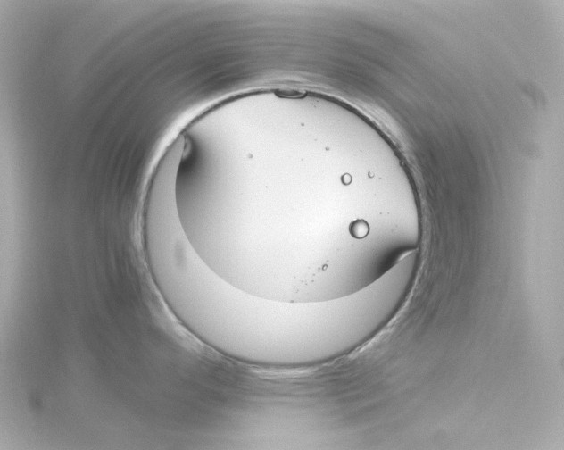 X0000115261296200911271918