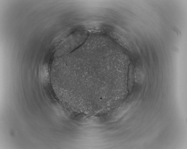 X0000115261298200911271917