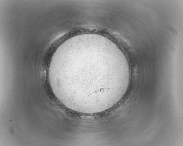 X0000115261302200911271917