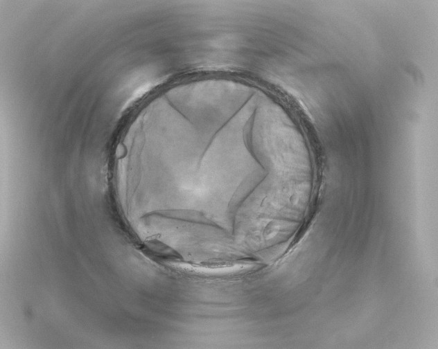 X0000115261306200911271917