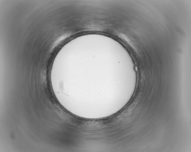 X0000115261307200911271917