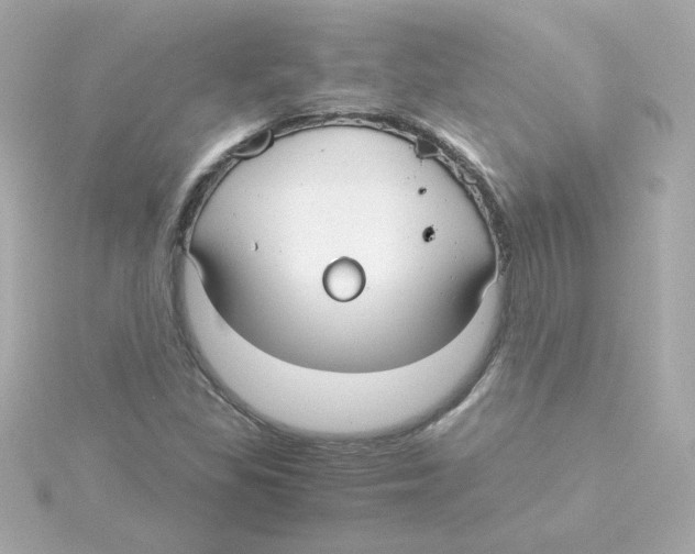 X0000115261309200911271917