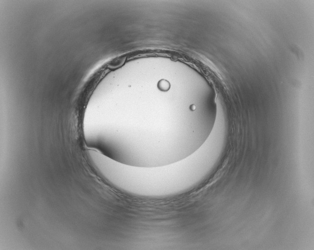 X0000115261310200911271917