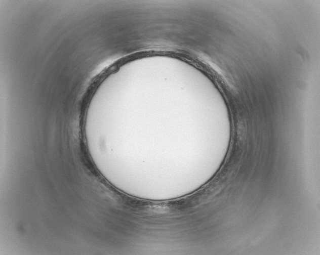 X0000115261315200911271917