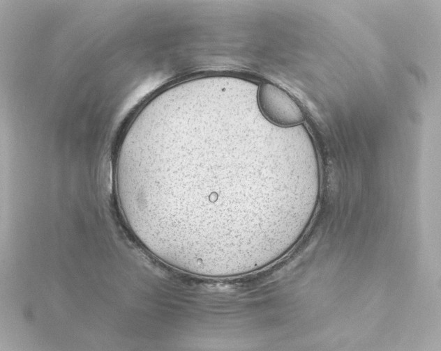 X0000115261317200911271918