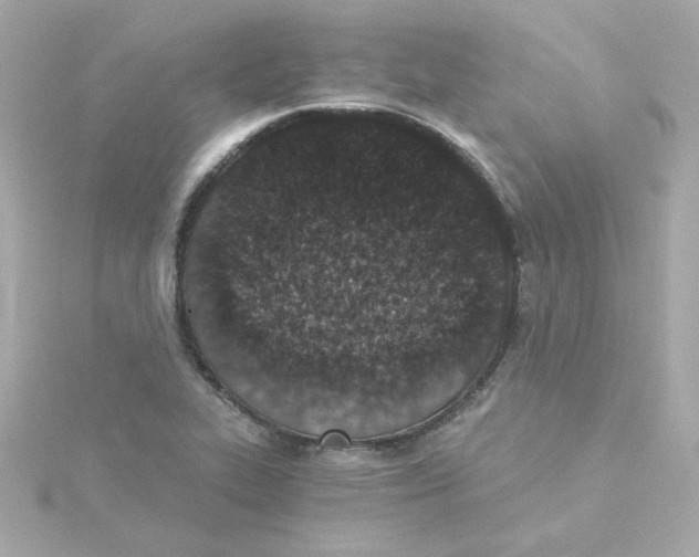 X0000115261319200911271918