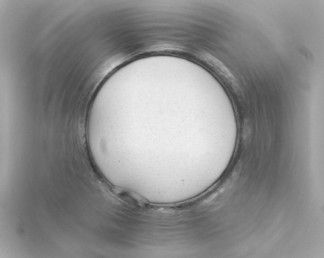 X0000115261321200911271918