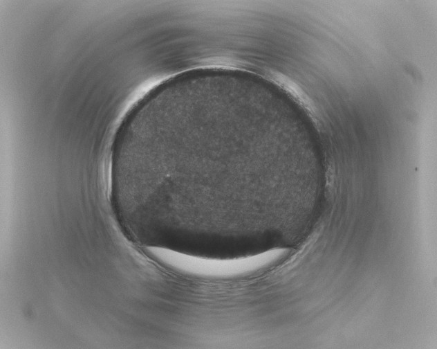 X0000115261323200911271918