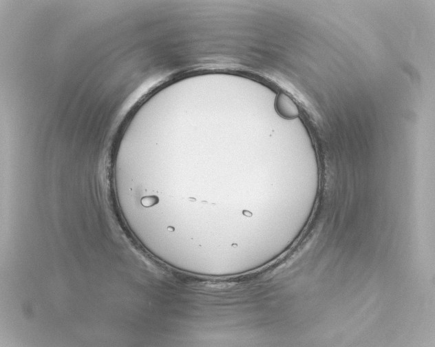 X0000115261325200911271918