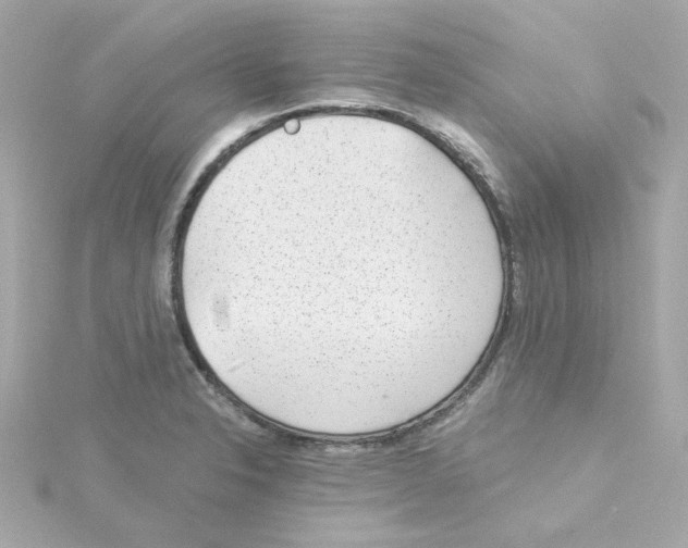 X0000115261326200911271918