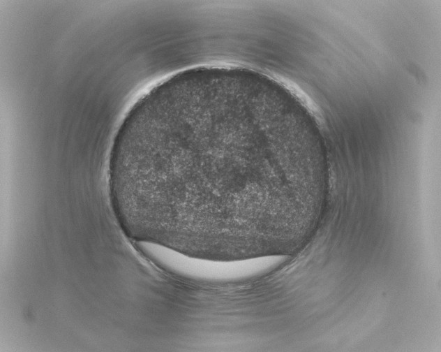 X0000115261327200911271918