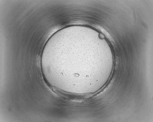 X0000115261329200911271918