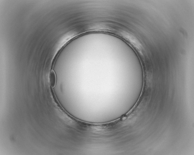 X0000115261330200911271918