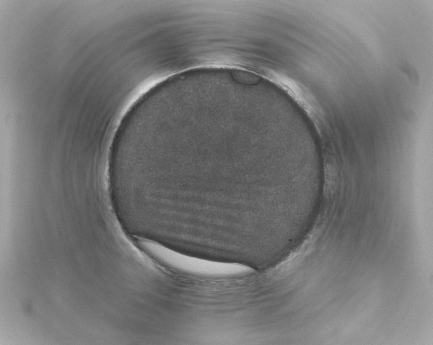 X0000115261331200911271918