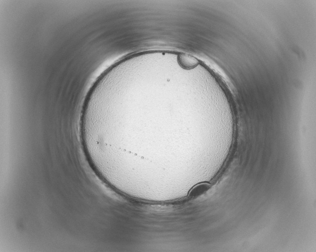 X0000115261333200911271918