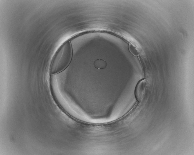 X0000115261334200911271918