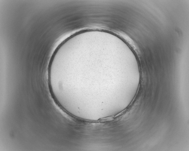 X0000115261335200911271918