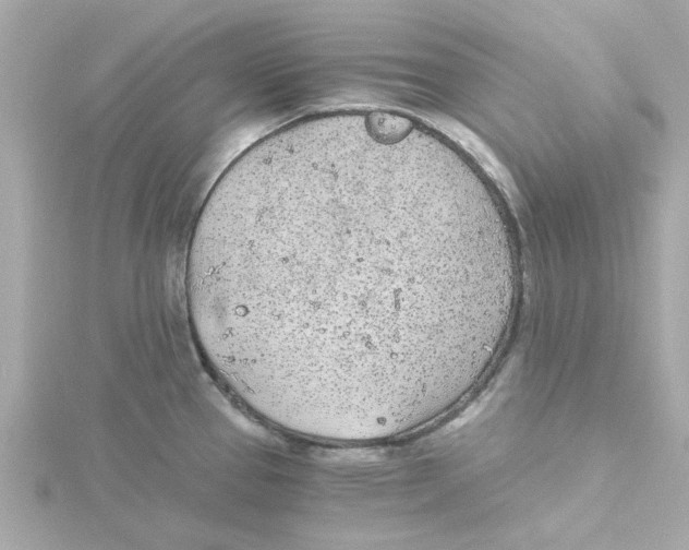 X0000115261337200911271918