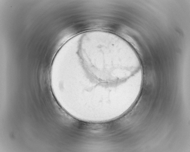 X0000115261338200911271918