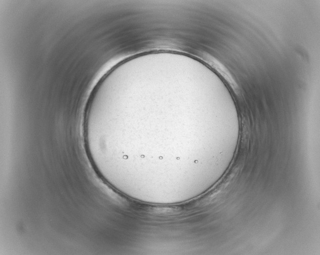 X0000115261339200911271918