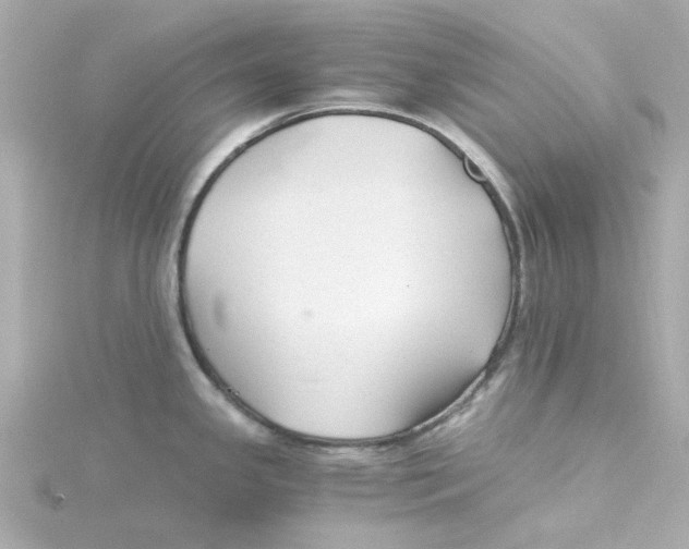 X0000115261341200911271918