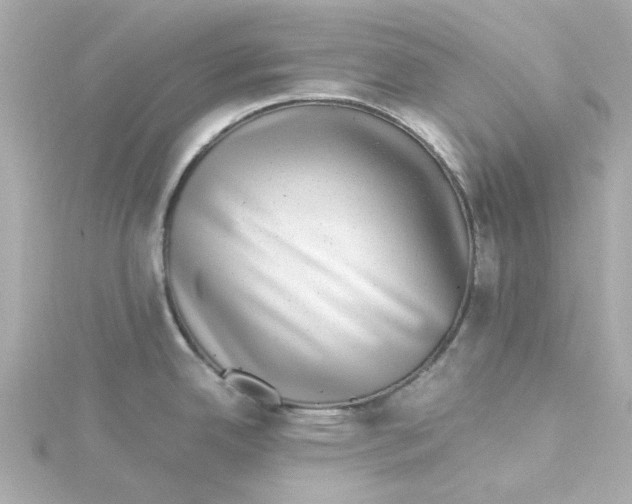 X0000115261342200911271918