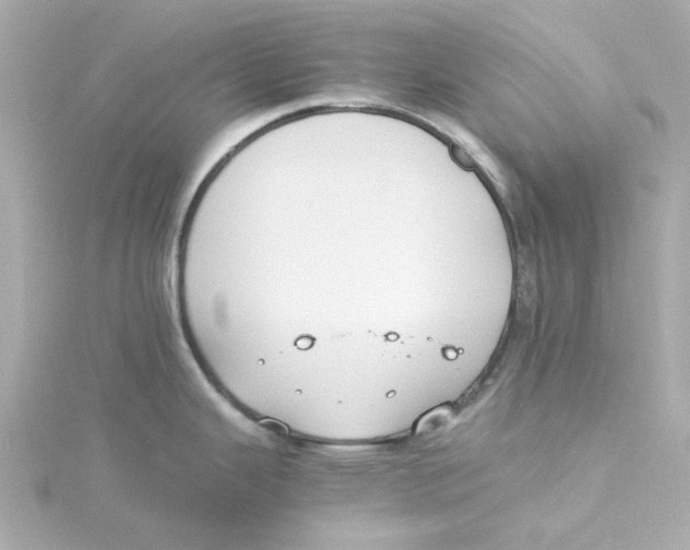 X0000115261343200911271918